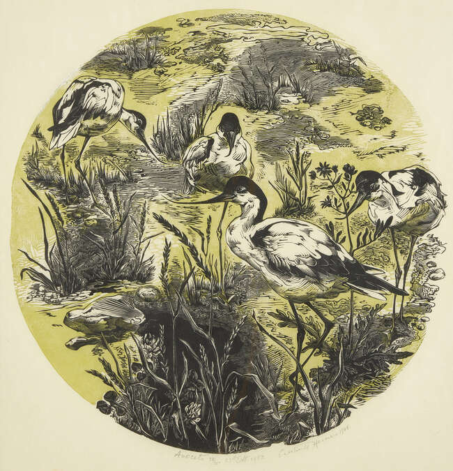 
	
		Gertrude Hermes OBE RA,
		British 1901-1983-
		 
		Avocets, 1952;
		wood engraving with...