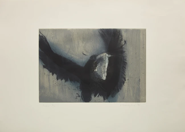 Hughie O'Donoghue RA, Irish/British b.1953- Crow, 1991; The Round Lake, 1991; two etchings with...