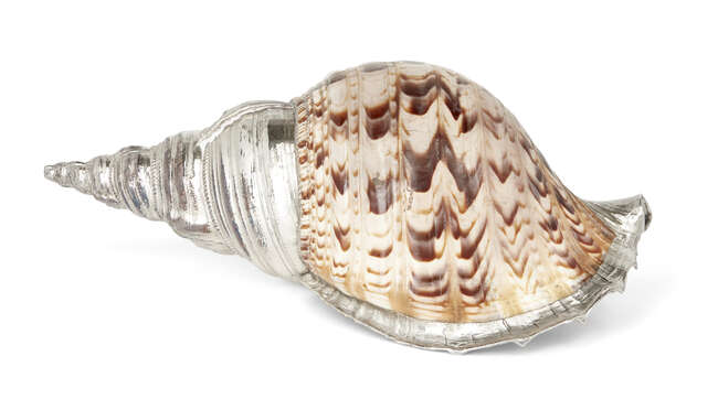 
	
		A large silver mounted conch shell, signed JG Argenterie, the Charonia tritonis spiral...