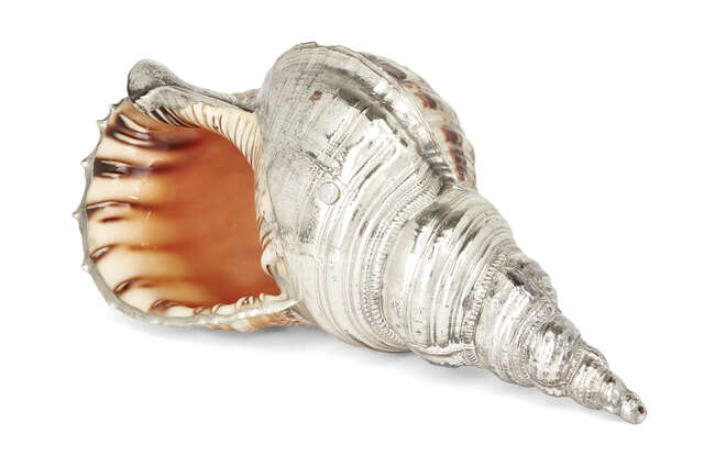 
	
		A large silver mounted conch shell, signed JG Argenterie, the Charonia tritonis spiral...