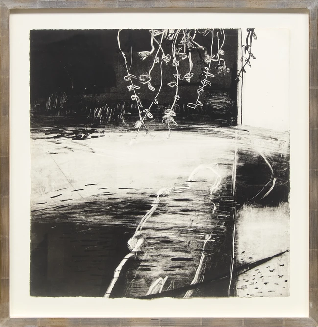 Lisa Wright, British b.1965 - Upon Velvet Night; monotype on paper, 58 x 56 cm (ARR) 