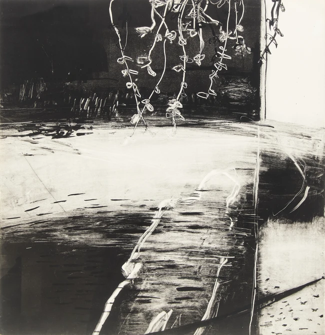 Lisa Wright, British b.1965 - Upon Velvet Night; monotype on paper, 58 x 56 cm (ARR) 