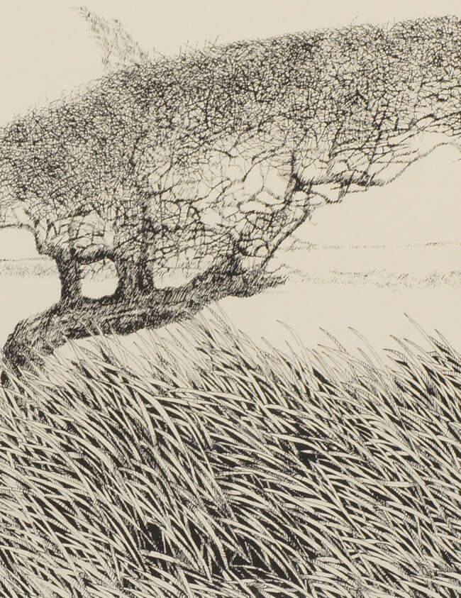 
	
		Graham Hillier, British 1946-2006- Hawthorn Bempton; lithograph, signed titled dedicated...