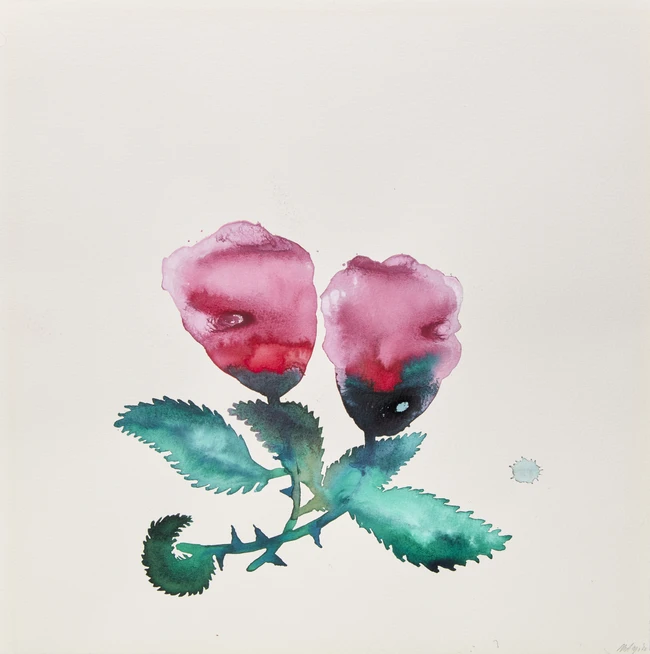 Nadia Ayari (Tunisian b. 1981-), 
Four watercolours depicting a plant; two flowers; a seated...