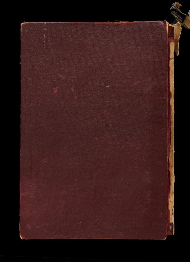 An illustrated copy of Mir Ghulam Hassan Dehlvi : Sihr al-Bayan, the enchantment of story...