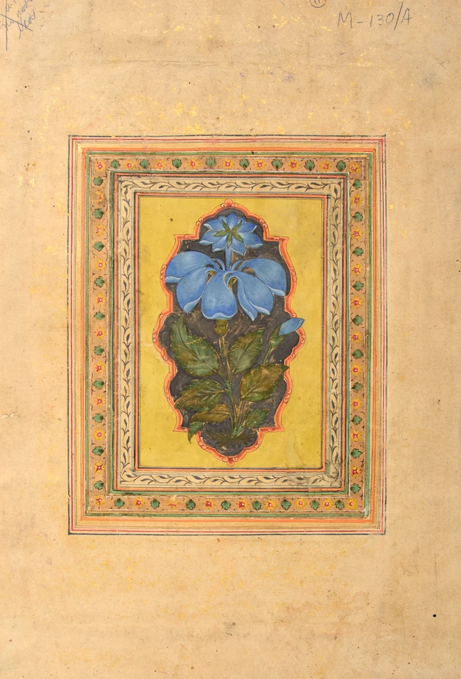 A detached illustrated album folio : Chand Bibi hawking, Murshidabad, provincial Mughal, circa...