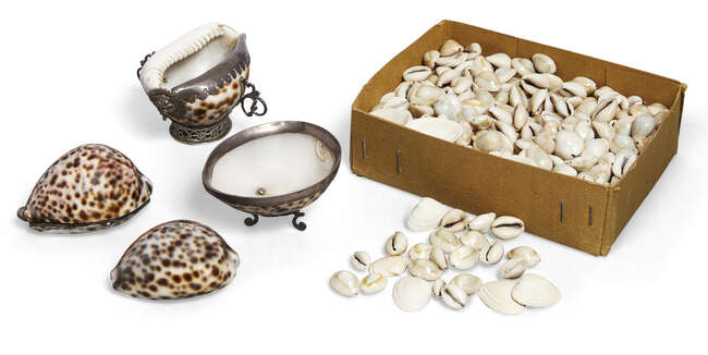 
	
		A white metal mounted cowrie shell, probably Hispanic, 18th century, with pierced scroll...