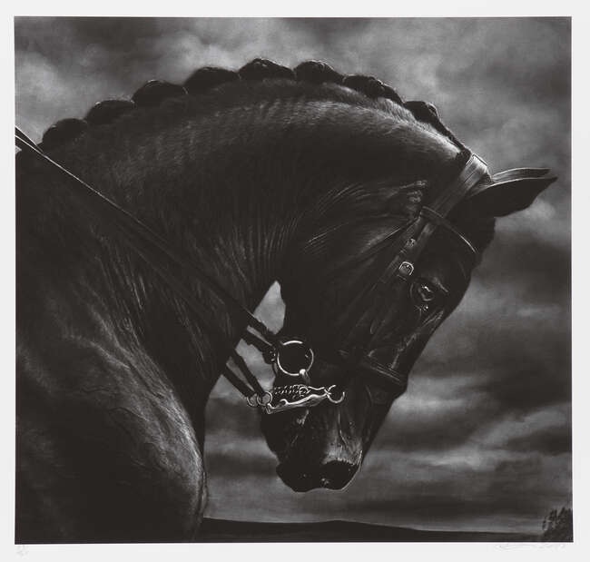 
	
		Robert Longo,
		American b.1953-
		 
		Untitled (Bucephalus), 2017;
		 
		ditone print...