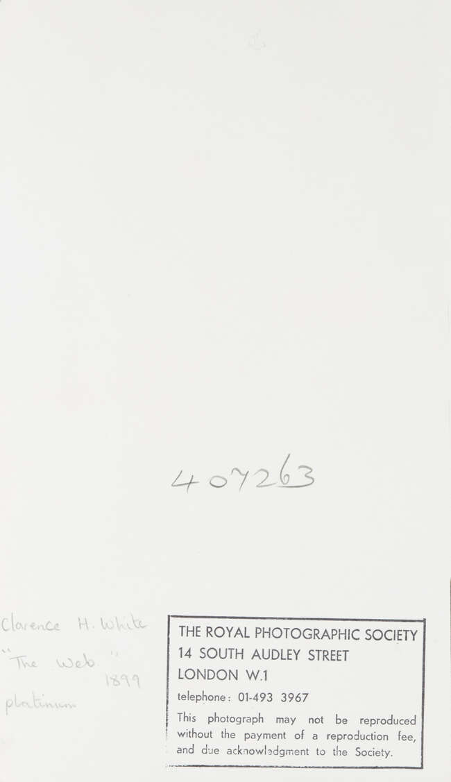 
	
		Clarence Hudson White, 
		American, 1871-1925 - 
		 
		The Web, 1899; 
		 
		matte...
