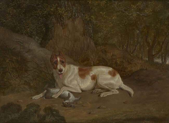 
	
		Circle of Charles Towne, 
		British 1763-1840- 
		 
		Dog with a hare in woodland;...