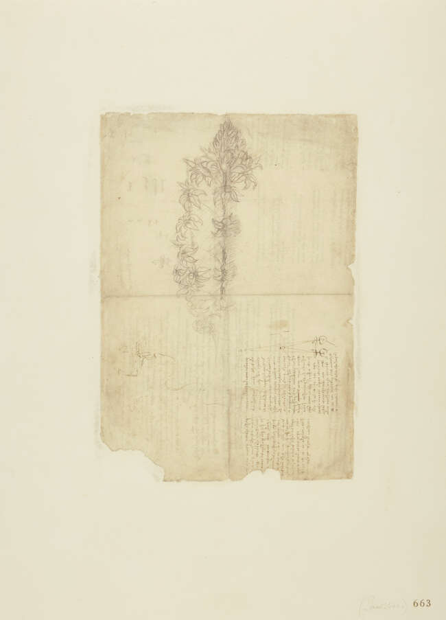 After Leonardo Da Vinci, Italian 1452-1519, Leonardo's Codex Atlanticus: 25 plates including,...