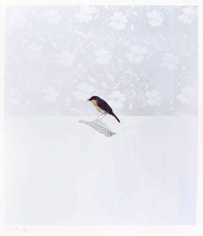 
	
		Charming Baker, 
		British b.1964- 
		 
		Bird III, 2012/13; 
		 
		screenprint in...