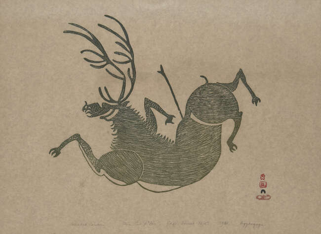 
	
		Aqjangajuk Shaa RCA, 
		Canadian 1937-2019-
		 
		Wounded Caribou, 1961;
		 
		