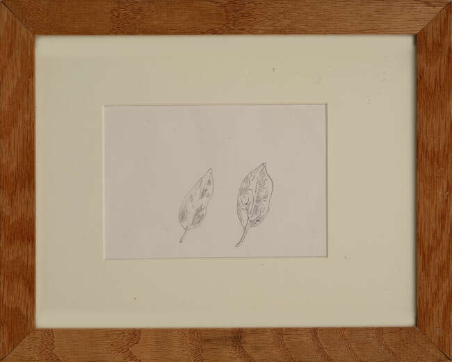 
	
		René Magritte, 
		Belgian 1898-1967 - 
		 
		Deux Feuilles & Poisson, circa 1945;...