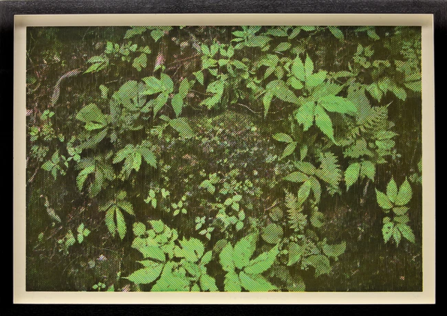 Katsutoshi Yuasa, Japanese b.1978- The Voice of Stones #1, 2024; CMYK #3, 2016; two woodcuts in...