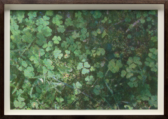 Katsutoshi Yuasa, Japanese b.1978- The Voice of Stones #1, 2024; CMYK #3, 2016; two woodcuts in...