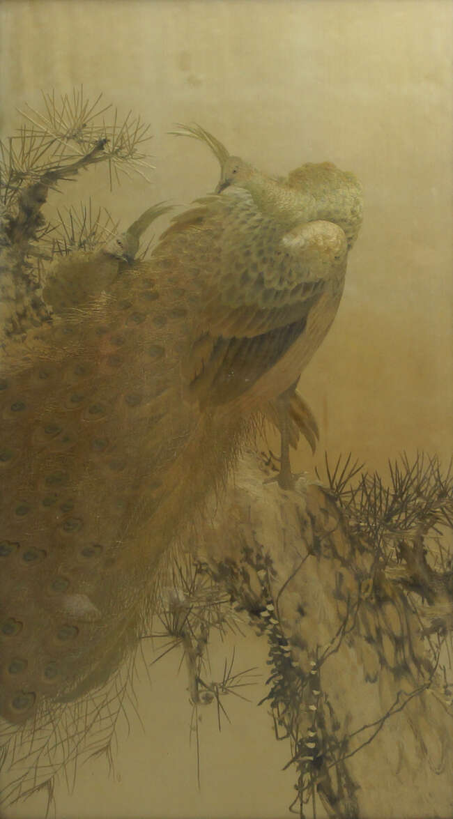
	
		A large Japanese embroidered picture of two peacock on a pine branch, late 19th/early 20
