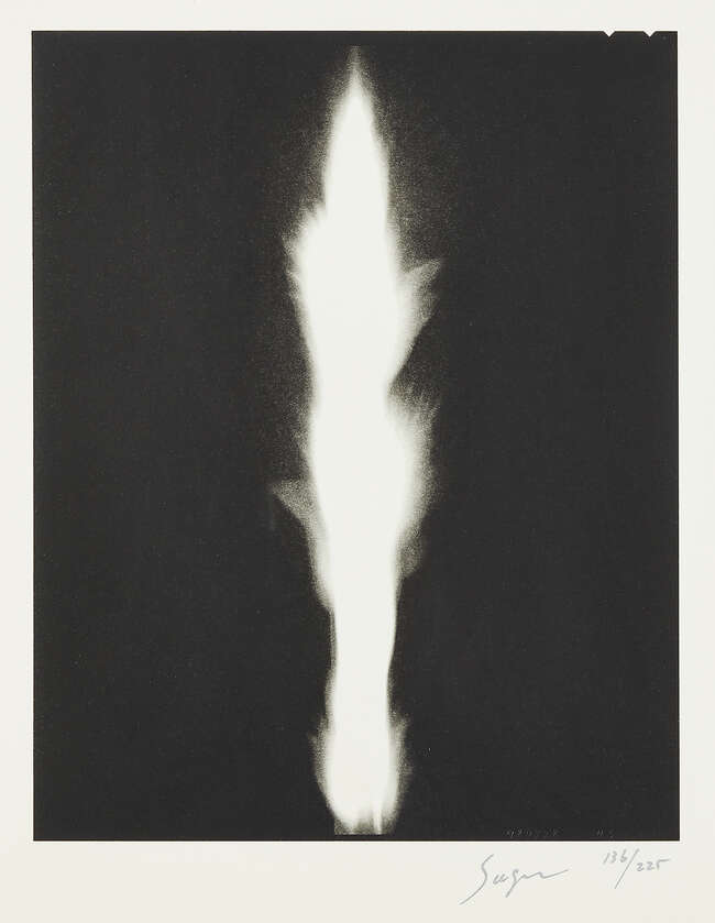 
	
		Hiroshi Sugimoto, 
		Japanese b.1948-
		 
		In Praise of Shadows, 2003;
		 
		