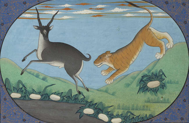 
	
		A tiger hunting an antelope, Kangra, Punjab Hills, 20th century, opaque pigments on...
