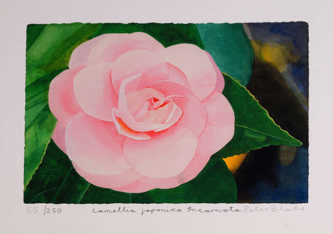 
	
		Sir Peter Blake CBE RDI RA,
		British b.1932-
		 
		Camellia Japonica...
