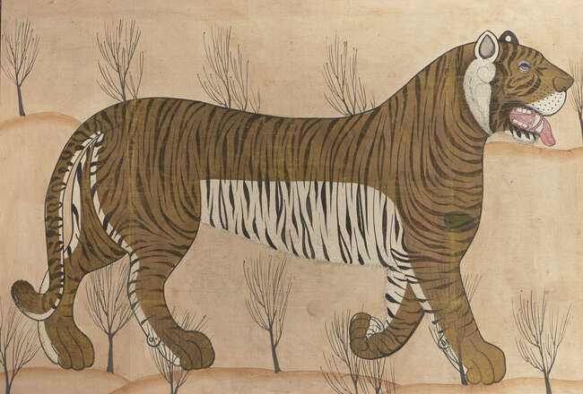 
	
		A large portrait of a tiger on cloth, Rajasthan, Udaipur, circa 1850, gouache on cotton,...