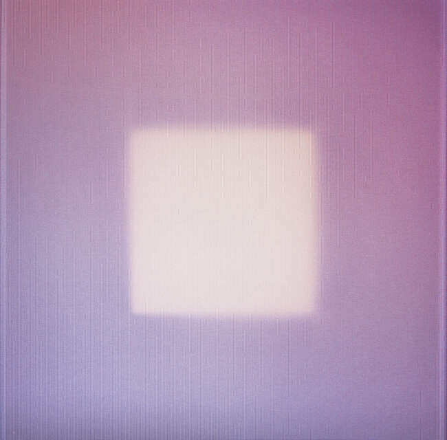 
	
		Brian Eno,
		English b.1948-
		 
		Rose, 2016;
		 
		digital lenticular print in...