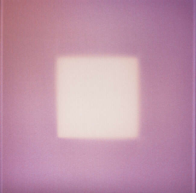 
	
		Brian Eno,
		English b.1948-
		 
		Rose, 2016;
		 
		digital lenticular print in...