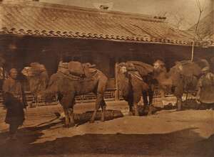 
	
		THOMAS CHILD, sixteen albumen prints, to include a caravan of camels on the Silk Road,...