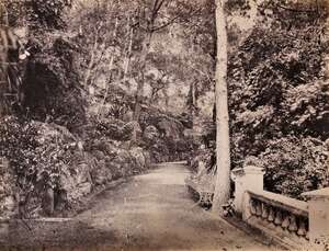 
	
		LAI AFONG, seven albumen prints, views of Hong Kong including botanical gardens, 21cm x...