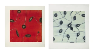 Mark Francis,&nbsp;British b.1962-&nbsp;Two Untitled Monoprints, 1992;&nbsp;monotype etching with aquatint in...