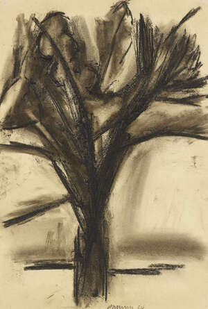 
	
		Anthony Hatwell, 
		British 1931-2013 - 
		Tree, 1954; 
		charcoal on paper, signed and...