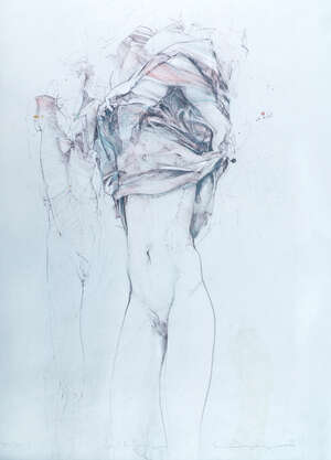 Jürgen Görg, 
		German 1951- 
		 
		Incognito & Enthullung,1985;
		 
		lithographs in colours on wove, two, each signed, titled, dated and numbered fr