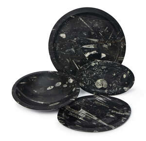 
	
		Four Orthoceras dishes, Morocco mountains, from the Devonian era, (420-359 Million years...
