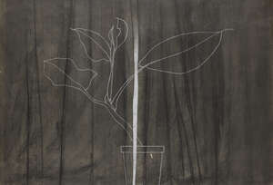 
	
		Derrick Greaves, 
		British 1927-2022 - 
		 
		Plant and Curtain, 1973; 
		 
		charcoal...