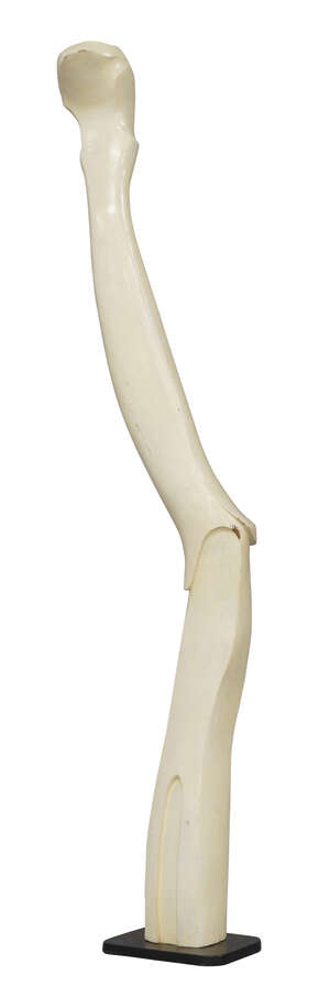 
	
		American School, 
		 
		Carved and white painted abstract sculpture, circa 1960, 
		