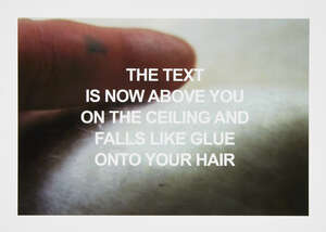 
	
		Laure Prouvost, 
		French b.1978- 
		 
		Like Glue, 2010; 
		 
		c-type matt...