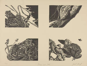 Jack Beal, American 19312013- Frogs and Toads, from Conspiracy Artist as Witness, 1971; lithograph...