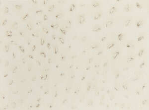 
	
		Rebecca Salter PRA, 
		British b.1955- 
		 
		 Untitled 2015; 
		 
		mixed technique...