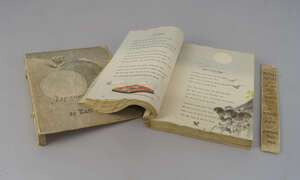 
	
		Florenz, Karl,  Poetical Greetings from the Far East, Japanese poems, published by T....