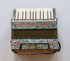 
	
		A Pictro piano accordion and a Hohnner Student II accordion, both in hard cases (2)

	

