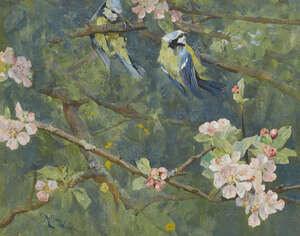 
	
		AFTERSALE ACCEPTED[LA].Arthur Wardle, 
		British 1864-1949- 
		 
		Blue Tits;...