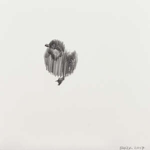 
	
		Charming Baker,
		British b.1964-
		 
		Duck, 2017;
		 
		pencil drawing on wove, signed...