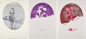 
	
		Colin Self, 
		British b.1941-
		
		Out of Focus Object and Flowers No 2 (The 1940s);...