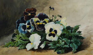 
	
		Louis Charles Bombled, 
		French 1862-1927- 
		 
		Pansies; 
		 
		watercolour,...