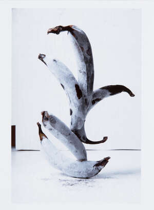 
	
		Lorenzo Vituri, 
		Italian b.1980-
		 
		Plantains, Ice & Hair 01, 2013;
		 
		digital...