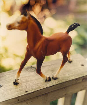 
	
		Tracey Baran,
		American b.1975-2008-
		 
		Untitled (horse), 1997-
		 
		c-print on...