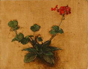 
	
		Carolyn Sergeant, 
		British 1937-2018- 
		 
		Geranium; 
		 
		oil on board, signed...