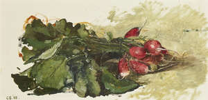 
	
		Carolyn Sergeant, 
		British 1937-2018 - 
		 
		Radishes, 1988; 
		 
		oil on board,...