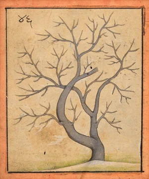 A depiction of a lone tree,&nbsp;Chamba, Pahari, North India, circa 1800,&nbsp;
Opaque pigments on paper,...