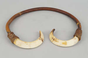 
	
		A tusk and bamboo tribal necklace, the tusk ends bound to the circular shaft with woven...